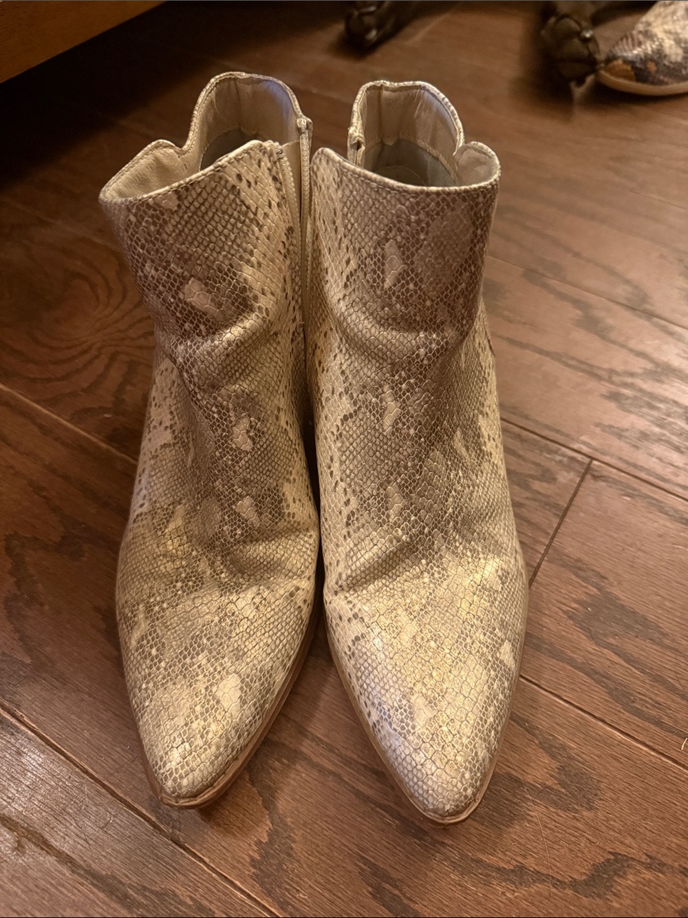 Coconuts by Matisse Metallic Snake-Print Ankle Boots - Gold/Tan